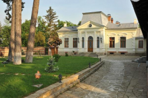 Conac Polizu